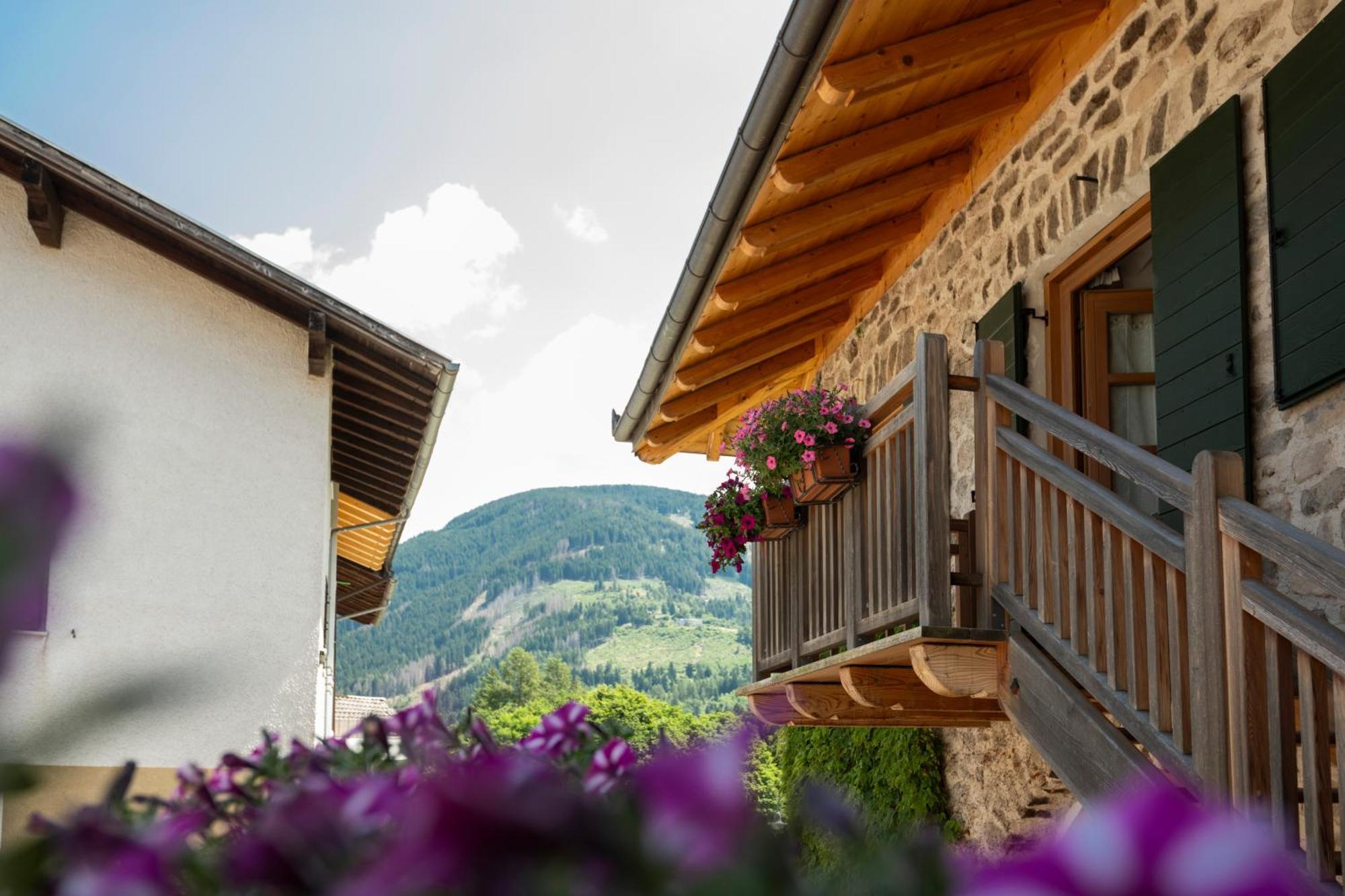 B&B Le Molinare Home Relax Varda 외부 사진